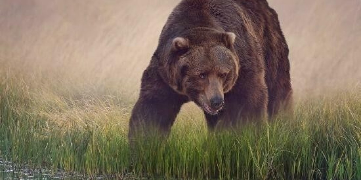 Hidden Mortgagor-Tenants In Illinois Commercial Properties