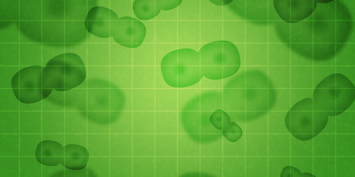 Pure Solutions To Erectile Dysfunction: Observational Insights