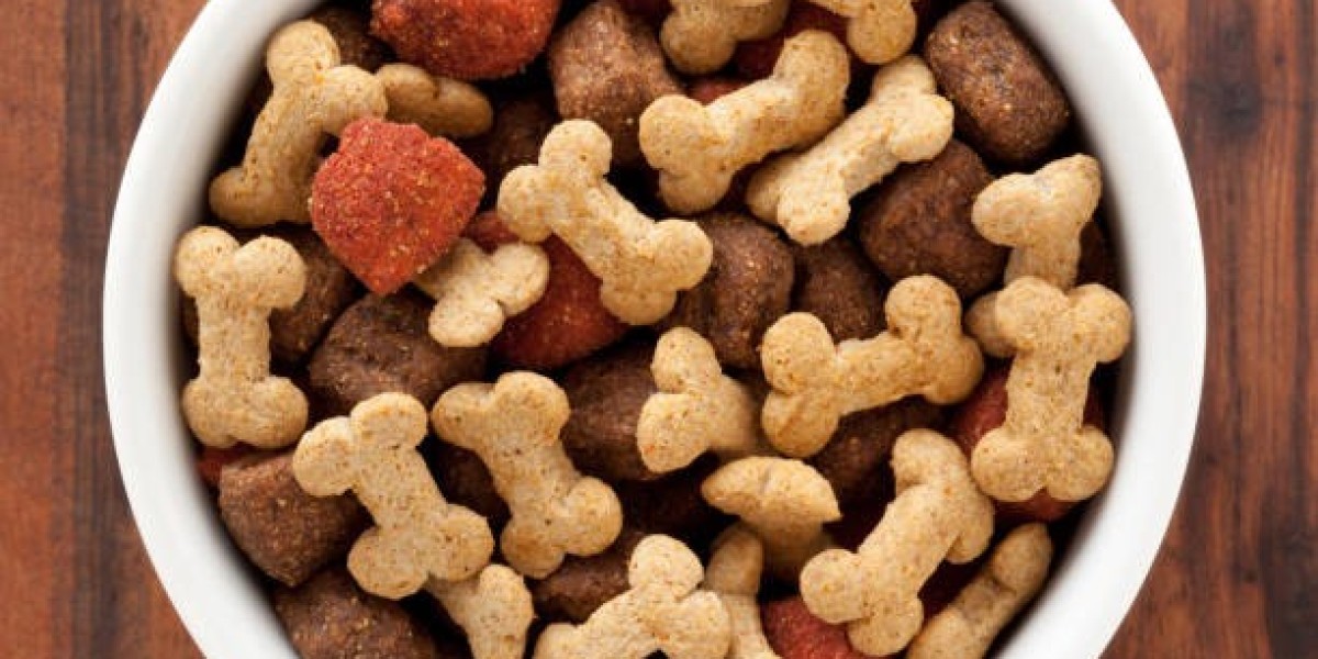 Dog Food Market Regional Outlook and Distribution Channels