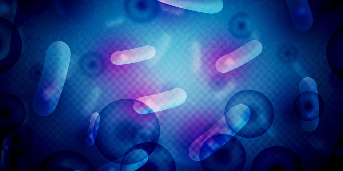 Erectile Dysfunction Treatment Reviews: Navigating the Options for Higher Sexual Well Being