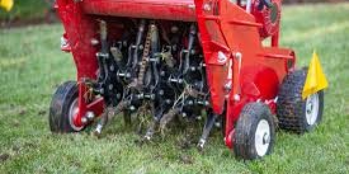 Why Professional Lawn Aeration Services Are Essential for a Thriving Lawn