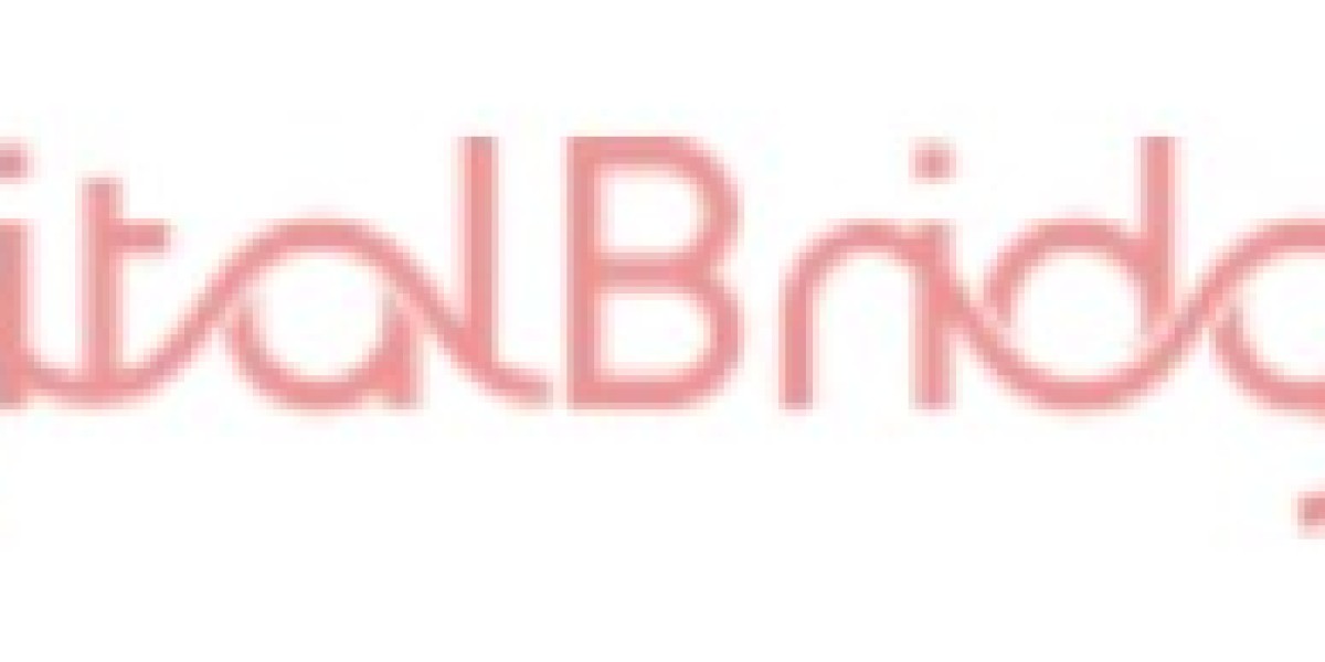 Scaling Without Stumbling: How a Digital Bridge Supports Your Growth Journey