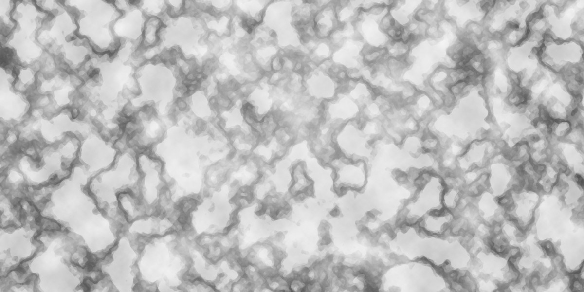 The Evolution and Influence of the Largest Private Jet Charter Services