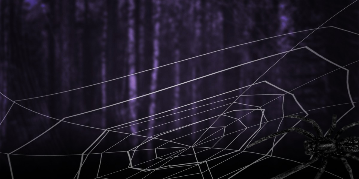 Observational Insights into the Gold Shopping For Experience