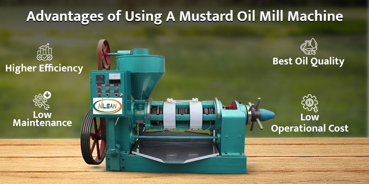 Choosing the Right Oil Machine for Reliable Daily Extraction