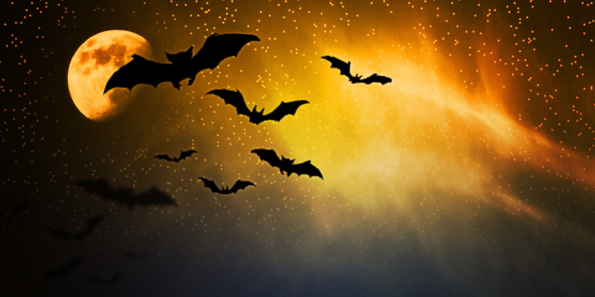 Understanding Erectile Dysfunction Treatment: Choices And Insights