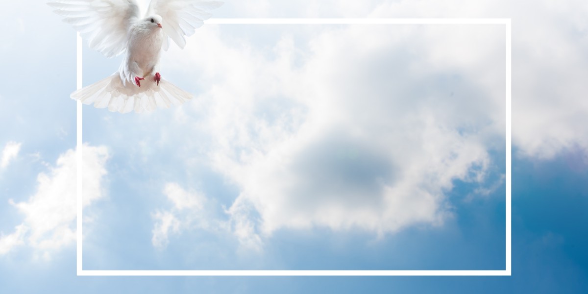 Case Research: The Impression of Erectile Dysfunction Medication on Men's Health and High Quality Of Life