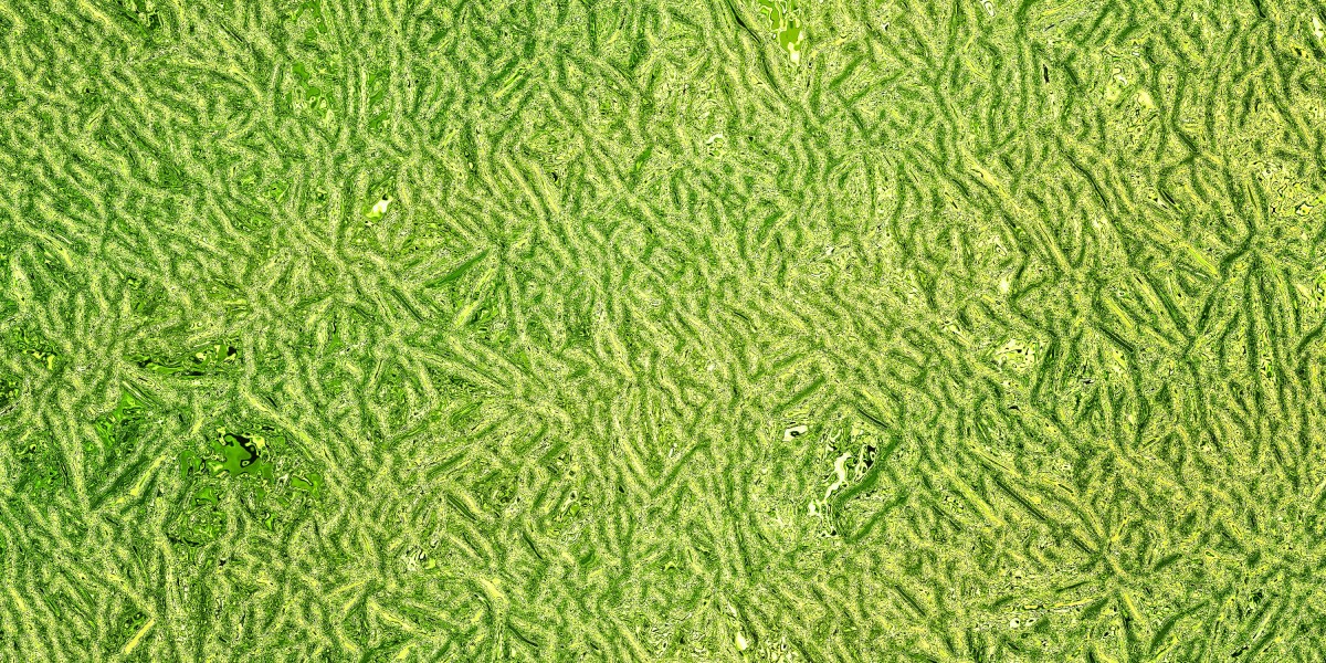 Gold Bullion Suppliers: A Complete Examine