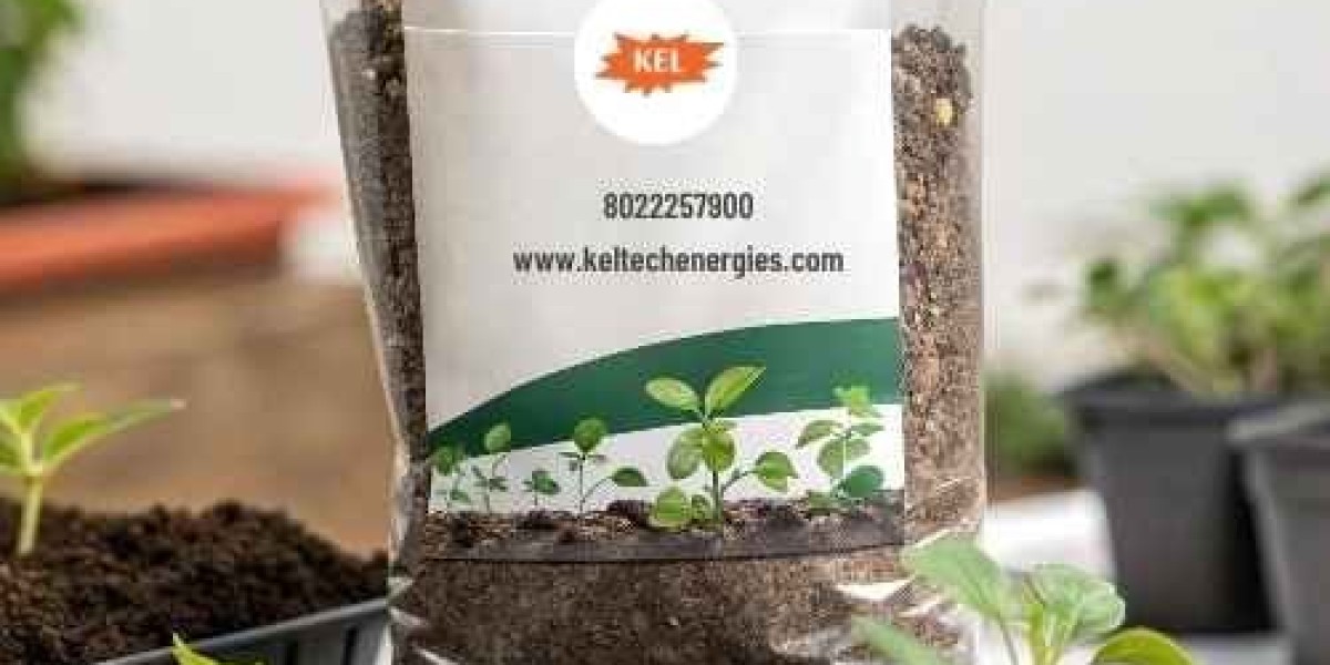 Soilless Soil for Plants: A Complete Guide for Modern Gardeners