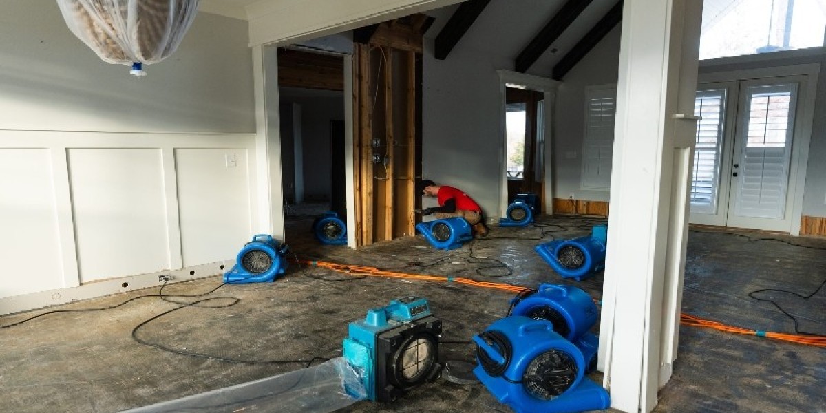 Cost, Process, and Effectiveness of House Water Damage Restoration in Columbia, MD