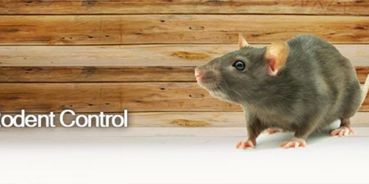 Reliable Rodent Control Methods to Keep Your Home Safe Long-Term