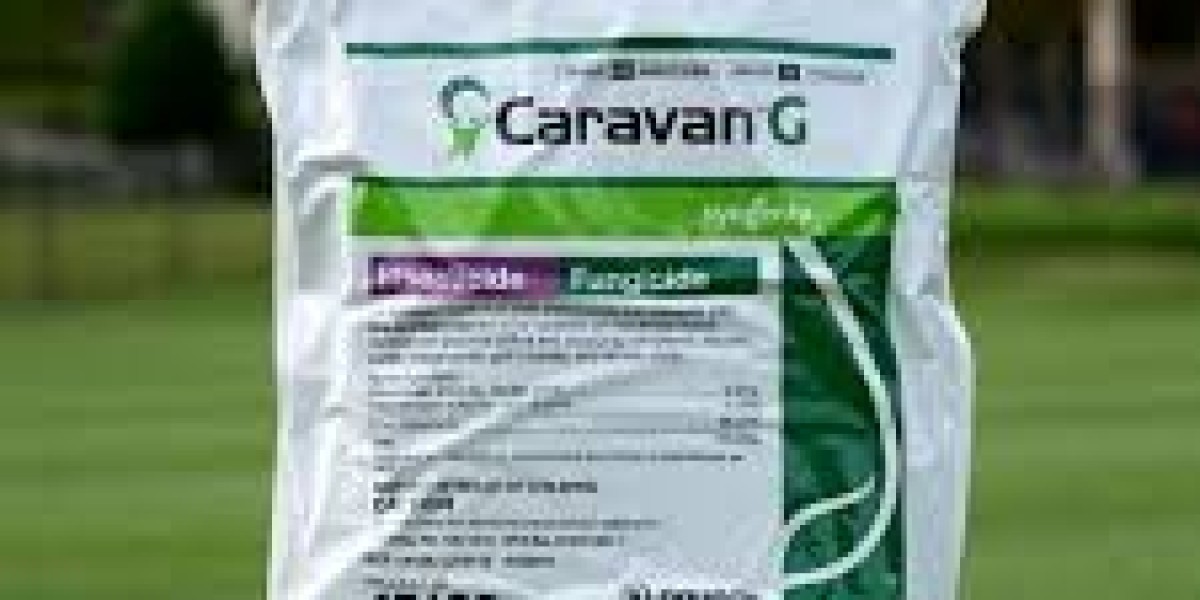 Lawn Fungicides: A Complete Guide to Protecting Your Grass