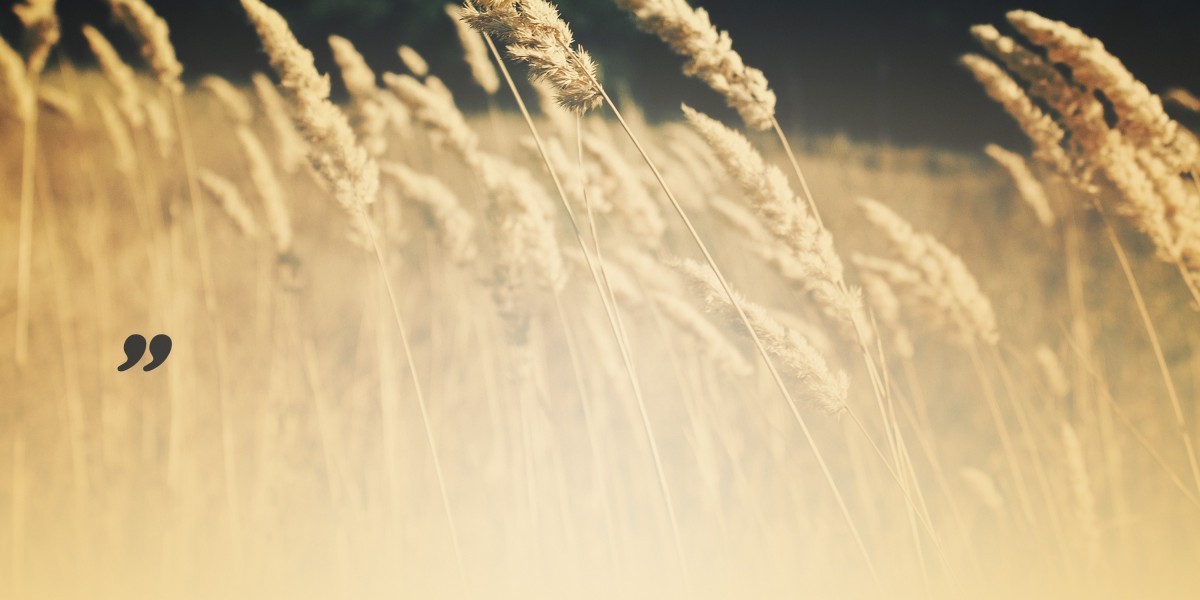 Understanding Gold IRA Investments: A Comprehensive Study Report