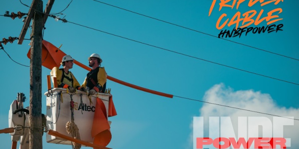 Triplex Cable: Top-Standard Performance vs. Average Options in Modern Power Distribution