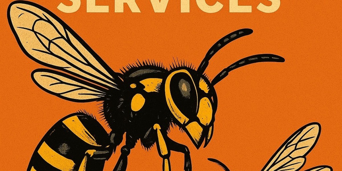 Effective Hornet and Wasp Control Solutions Every Homeowner Should Know
