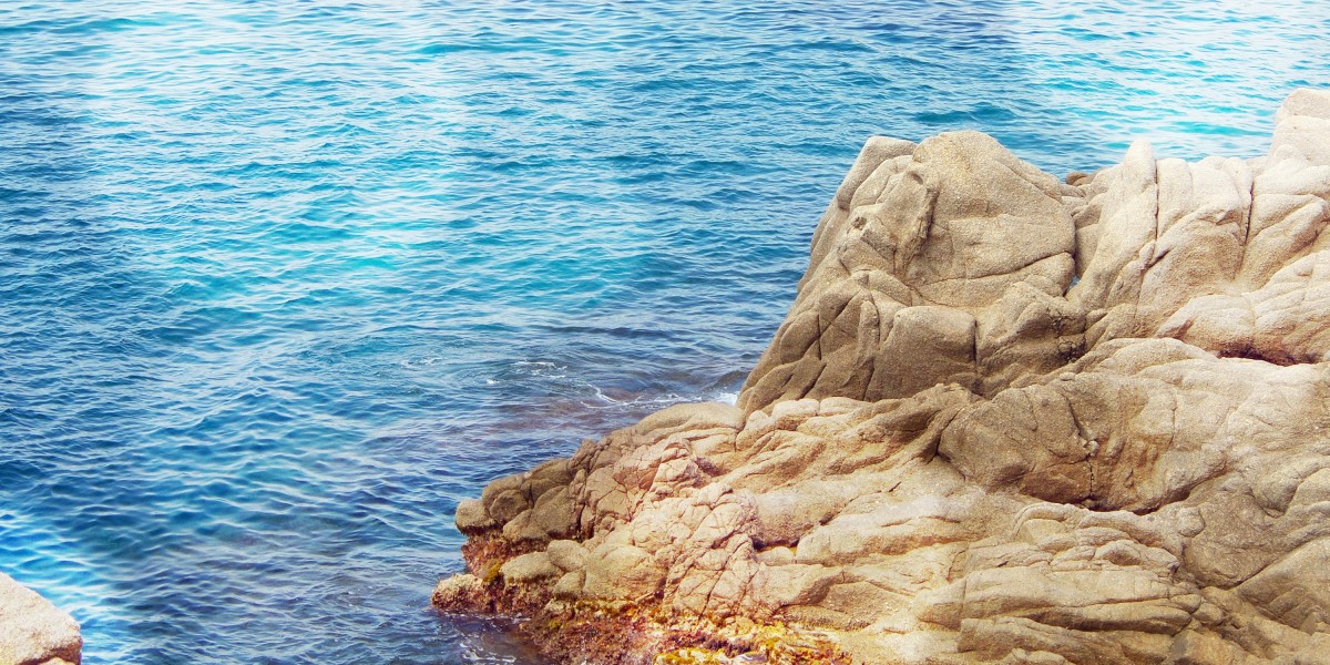 Case Study: The net Buy Of Pure Gold - A Modern Funding Strategy