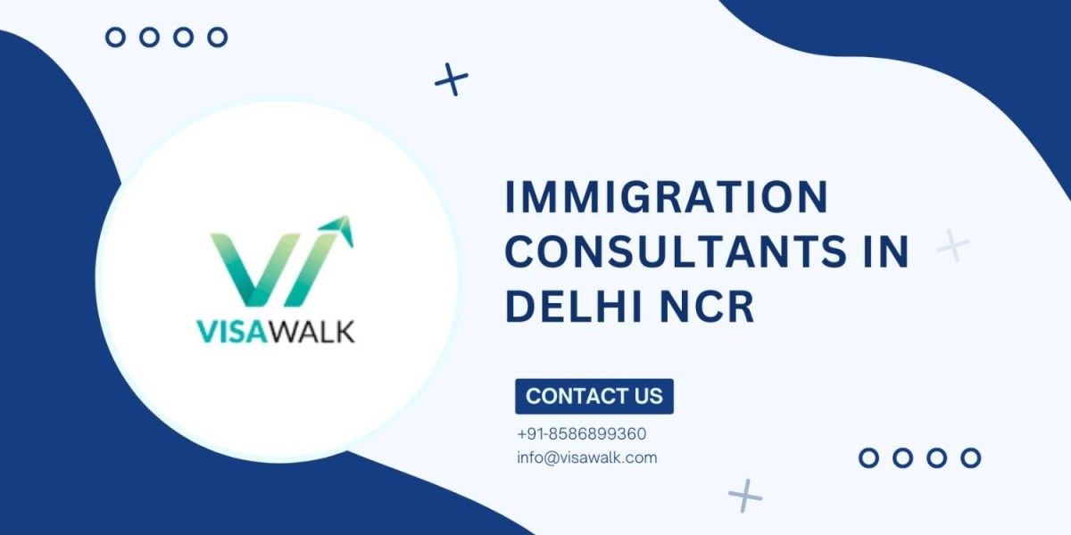 Best Visa Agents in Delhi