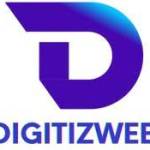digitiz web
