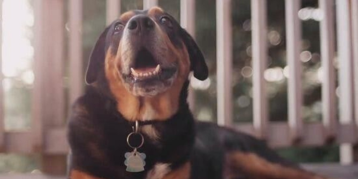 Michigan State Programs