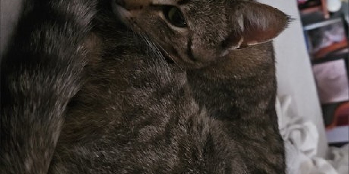 What Place Were We In? The History of Adult Cheerleader Content is a Well-known Topic in a Popular Article that was Told