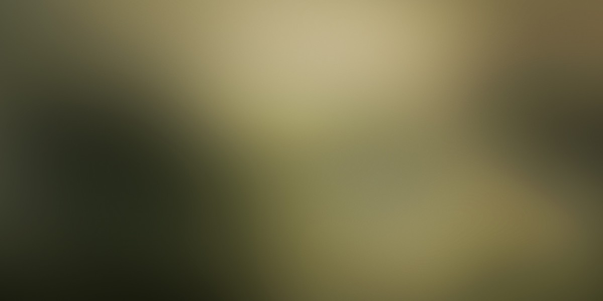 The Evolution and Influence of Private Jet Flights In Fashionable Aviation