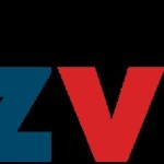 BizVisor group
