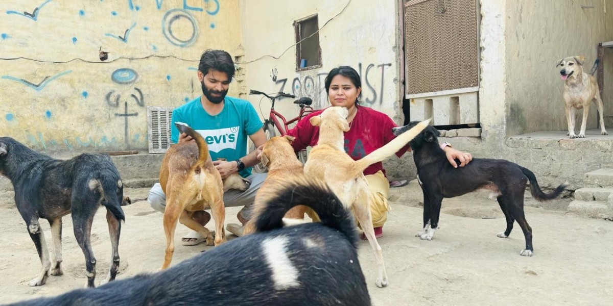 How Compassionate Animal Care Can Change Lives: A Step Toward a Kinder World