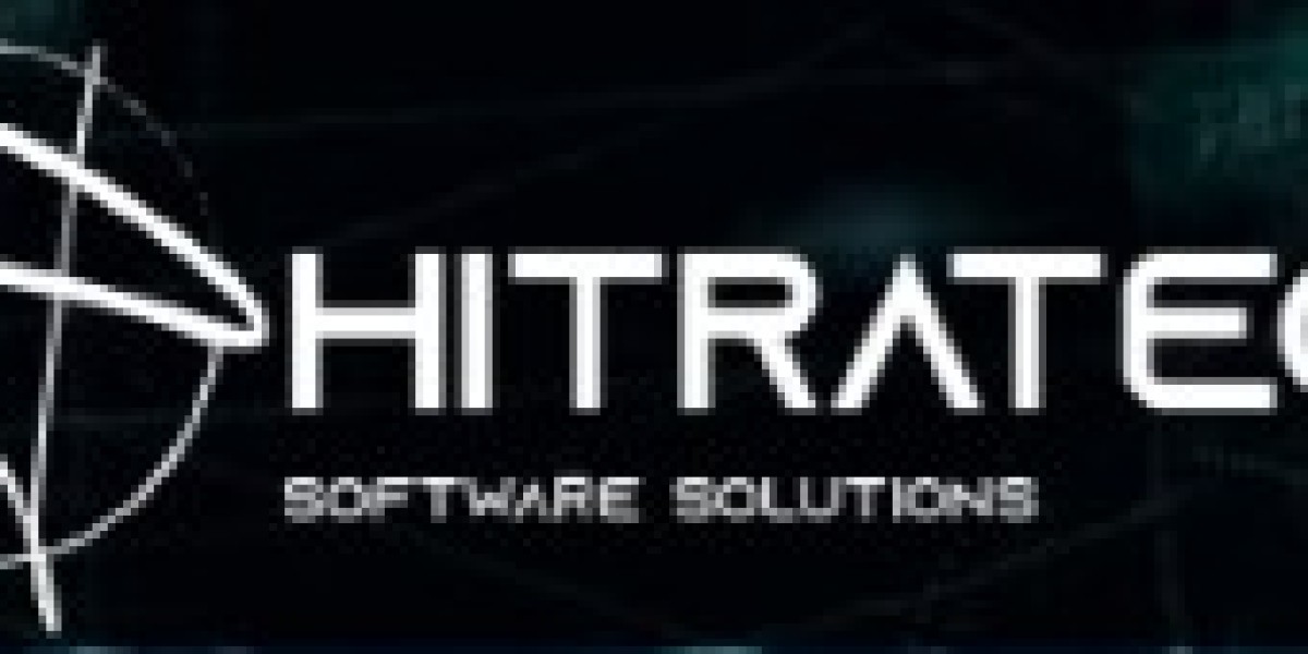 Professional Software Maintenance Services by HITRATECH