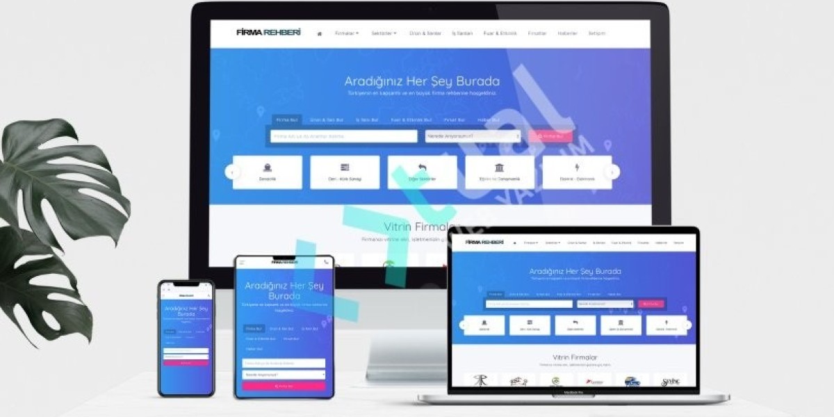 Teras çatı pencereleri