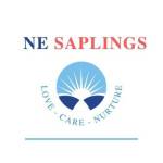 Ne Saplings
