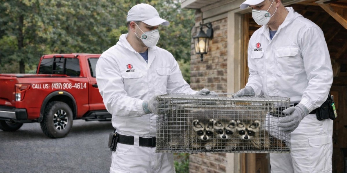 Professional Residential Pest Control Services Bradford: Your Complete Guide to Safe, Eco-Friendly Pest Management